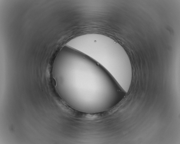 X0000111790570200907230951