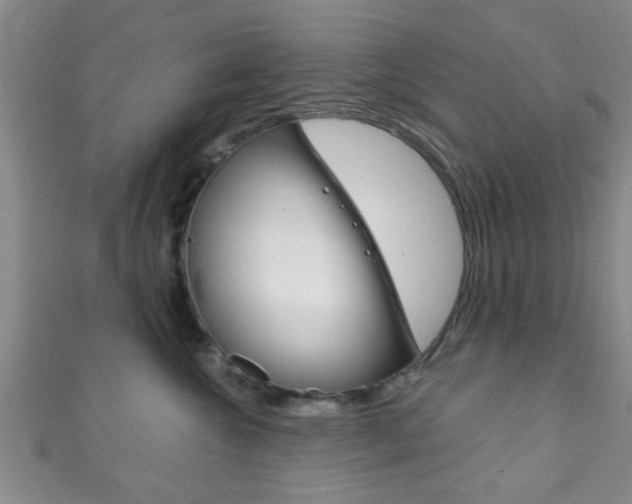 X0000111790572200907230951