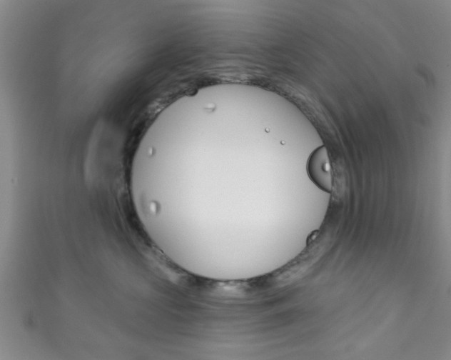 X0000111790573200907230951