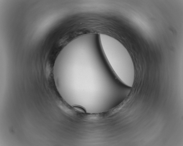 X0000111790574200907230951