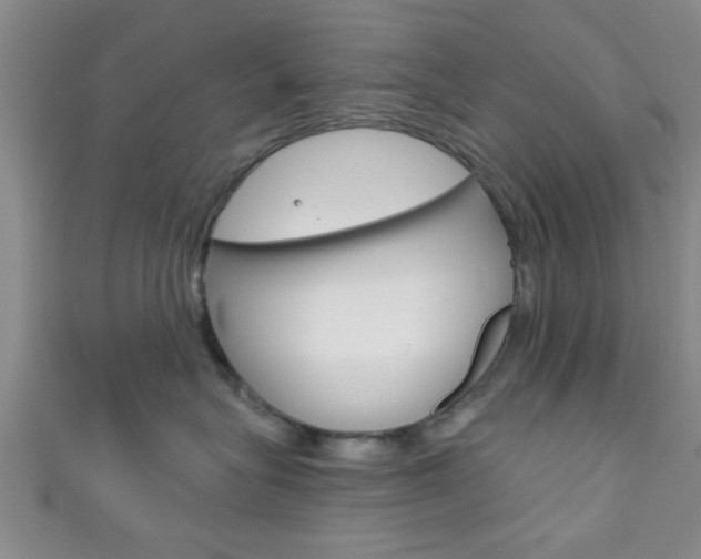 X0000111790575200907230951