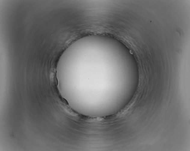X0000111790576200907230951