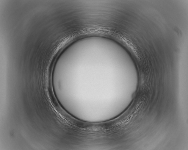 X0000111790578200907230951