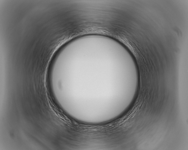 X0000111790579200907230951