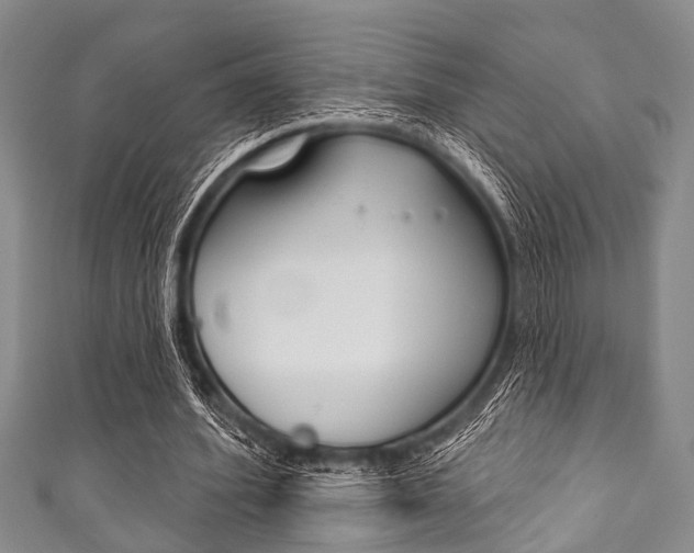 X0000111790580200907230951