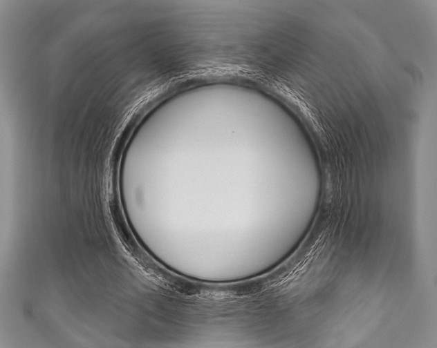 X0000111790582200907230951