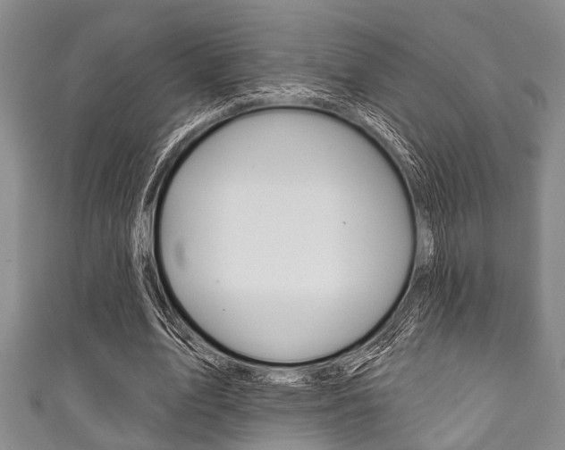 X0000111790583200907230951
