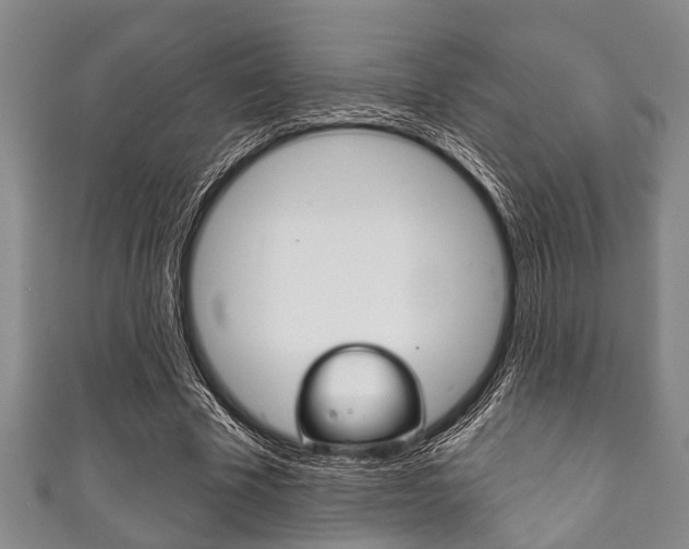 X0000111790585200907230951