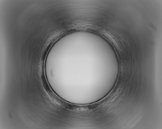 X0000111790586200907230951
