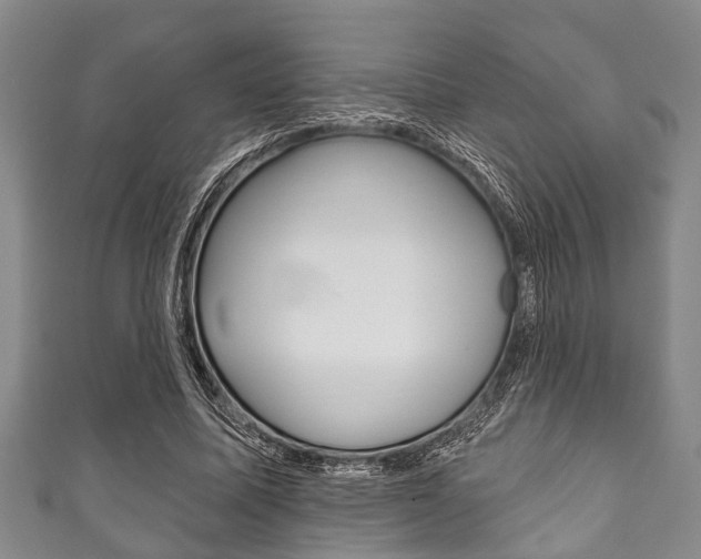 X0000111790587200907230951