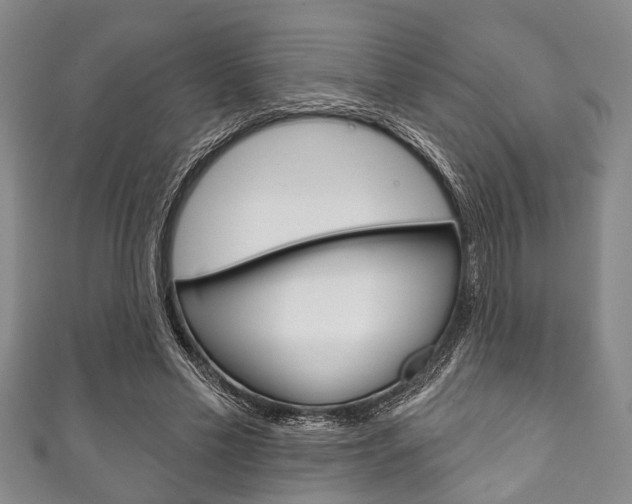 X0000111790589200907230951