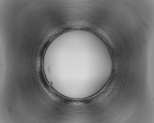 X0000111790590200907230951