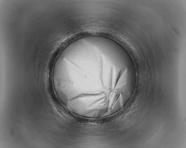 X0000111790592200907230951