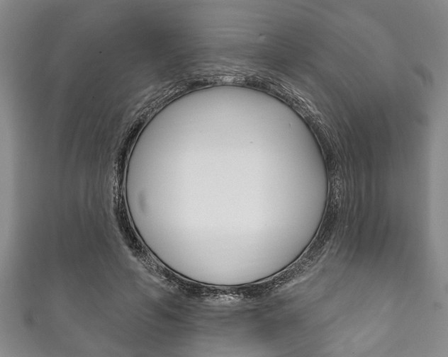 X0000111790594200907230950