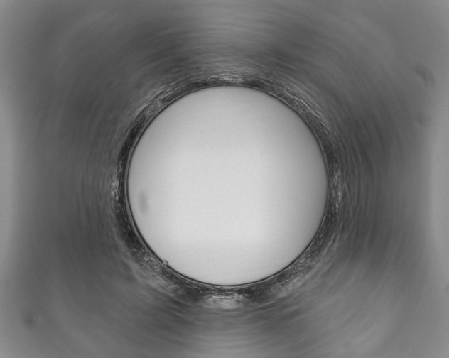 X0000111790595200907230950