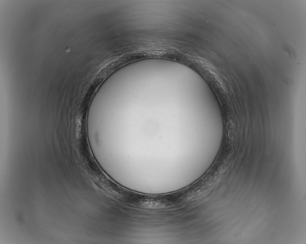 X0000111790596200907230950