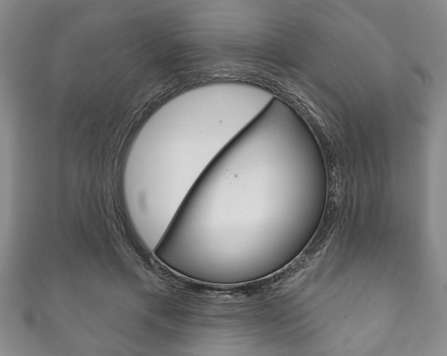 X0000111790597200907230950