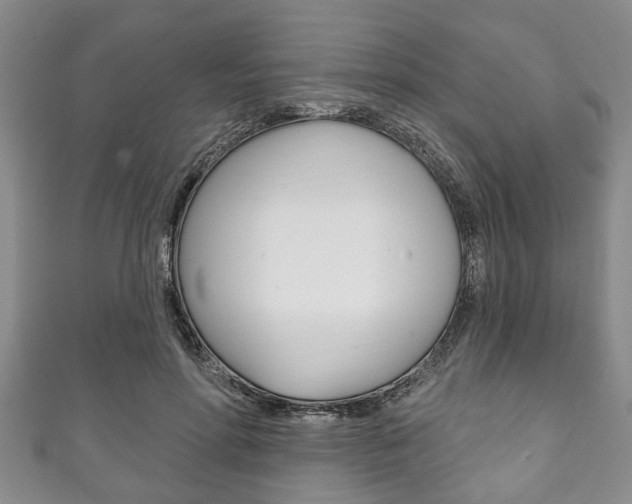 X0000111790598200907230950