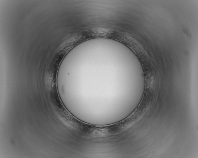 X0000111790599200907230950
