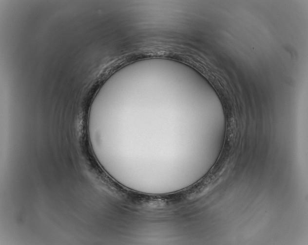 X0000111790600200907230950