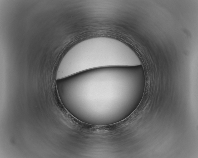 X0000111790601200907230950