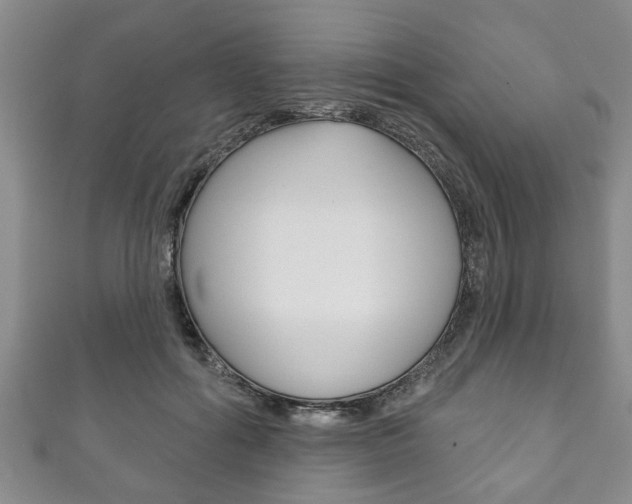 X0000111790602200907230950