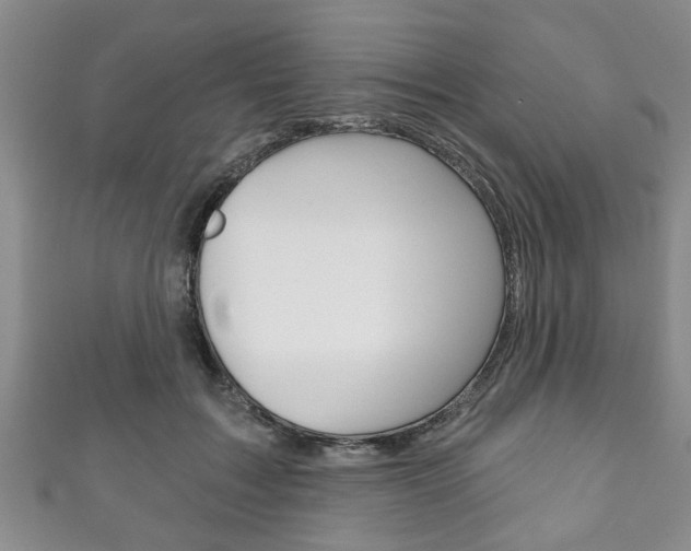 X0000111790603200907230950