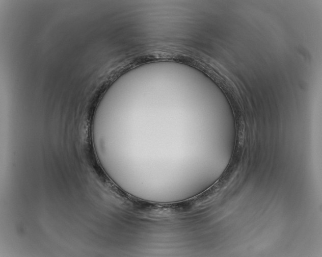 X0000111790604200907230950