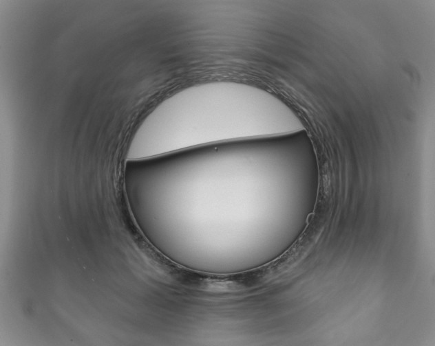 X0000111790605200907230950