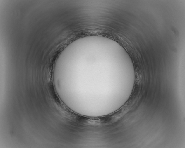 X0000111790606200907230950