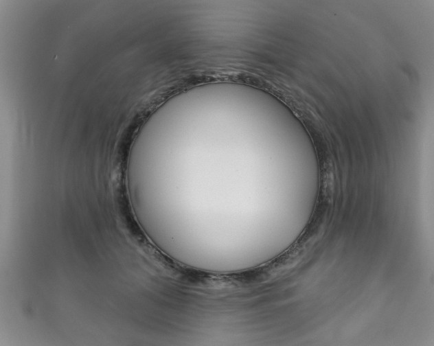 X0000111790608200907230950