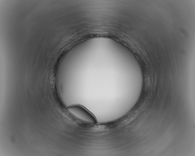 X0000111790609200907230950