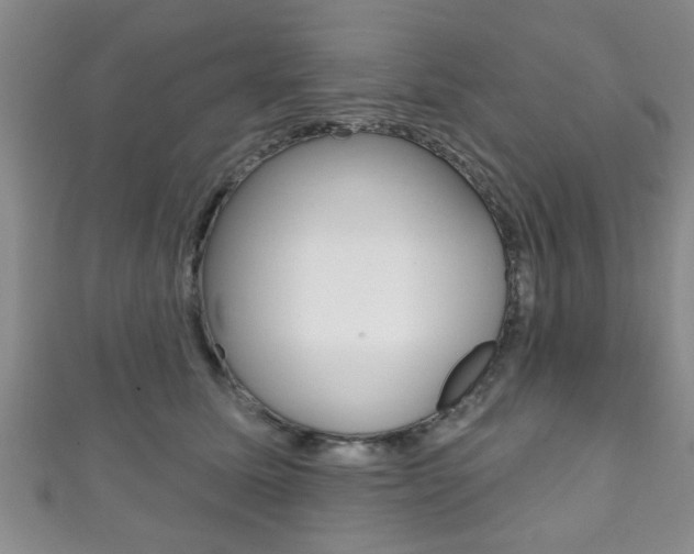 X0000111790611200907230950