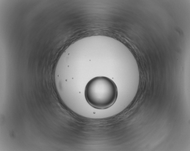 X0000111790613200907230950