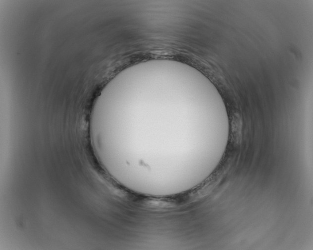 X0000111790614200907230950