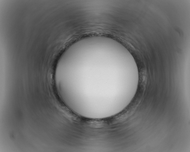 X0000111790615200907230950