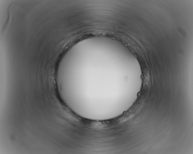X0000111790616200907230950