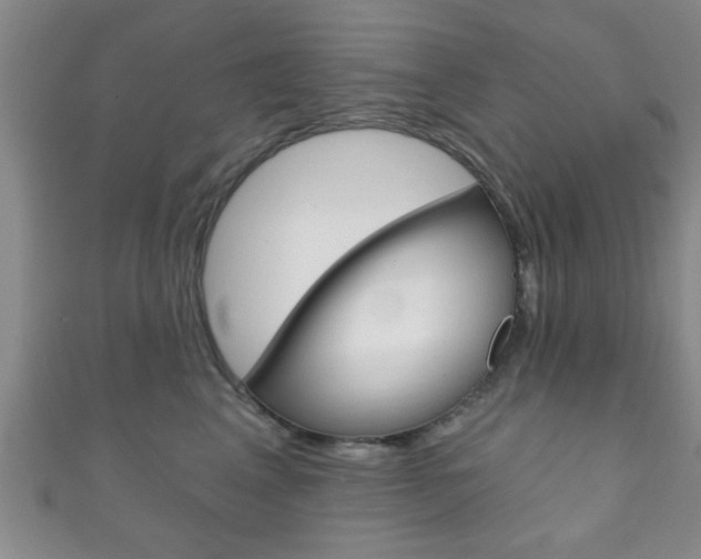 X0000111790617200907230950
