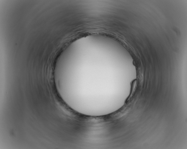 X0000111790619200907230950