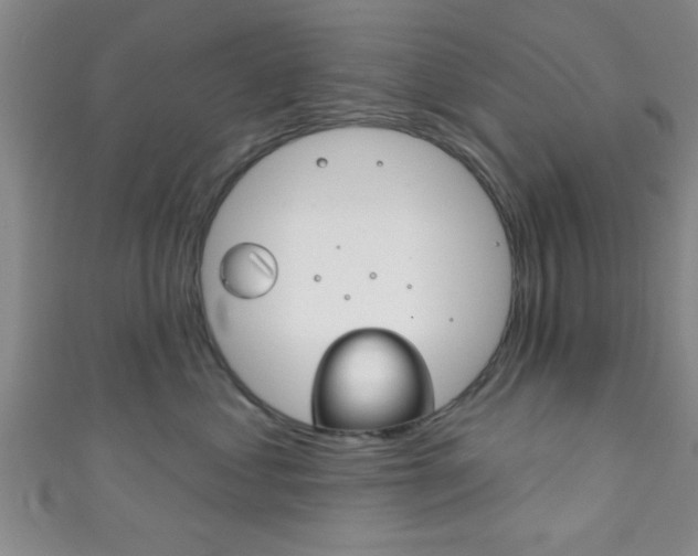 X0000111790621200907230950