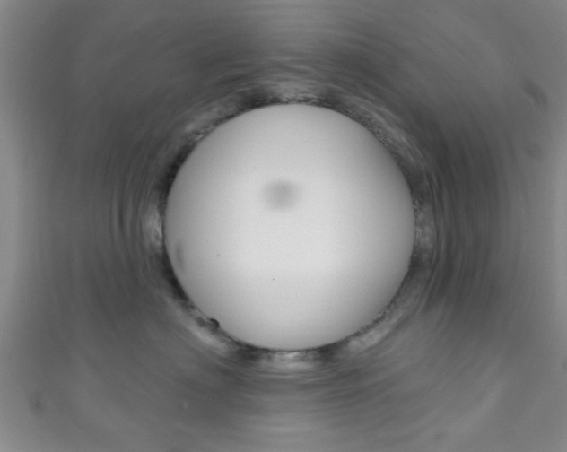 X0000111790622200907230950