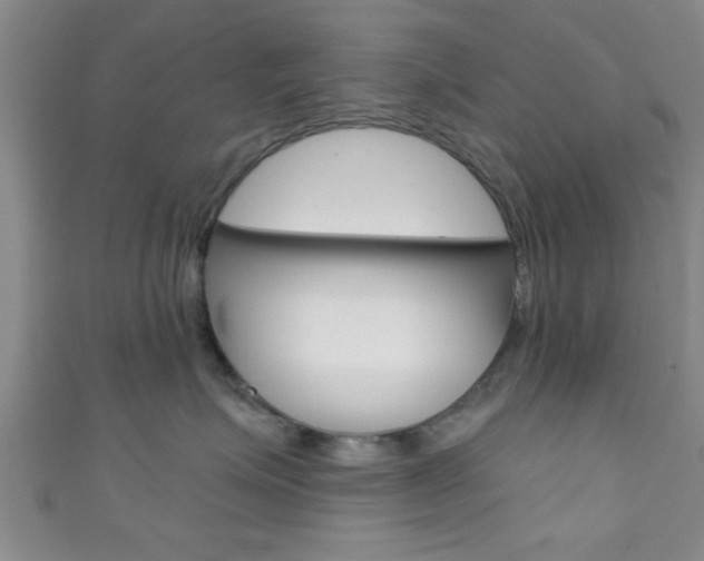 X0000111790623200907230950