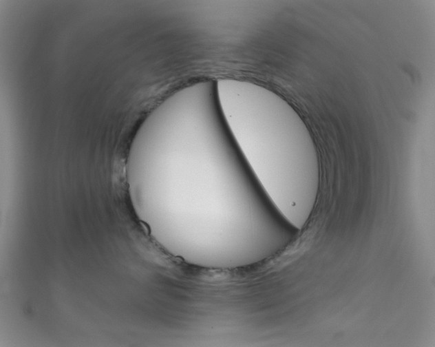 X0000111790624200907230950