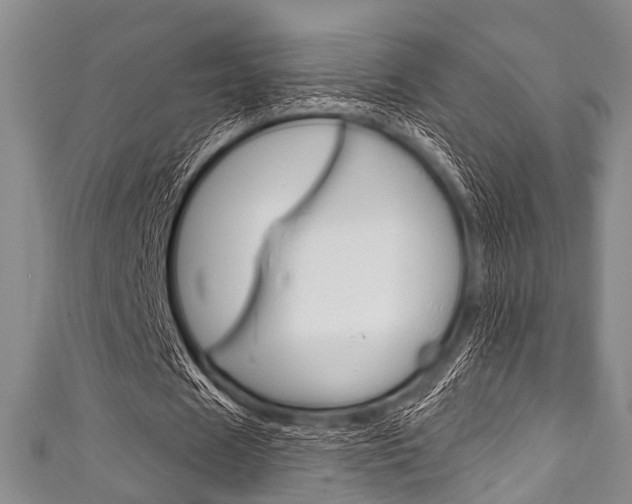 X0000111790625200907230949
