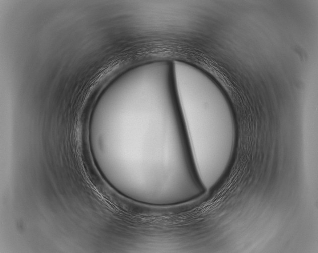 X0000111790626200907230950