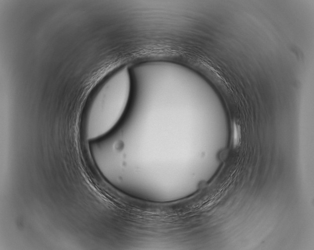 X0000111790627200907230950