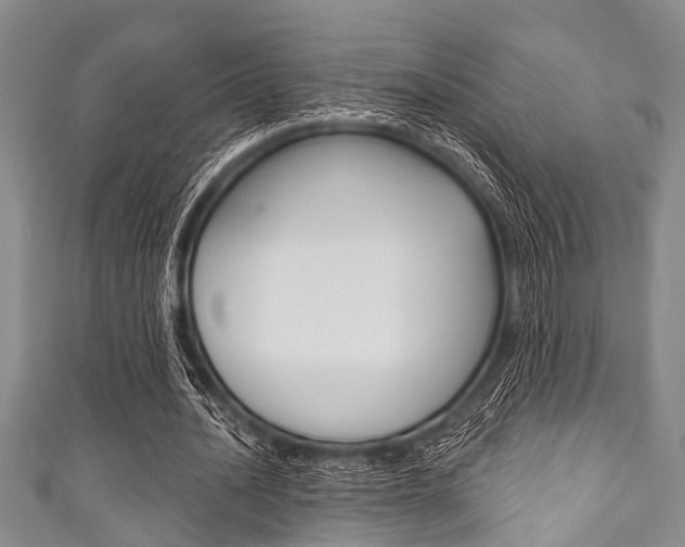 X0000111790628200907230950