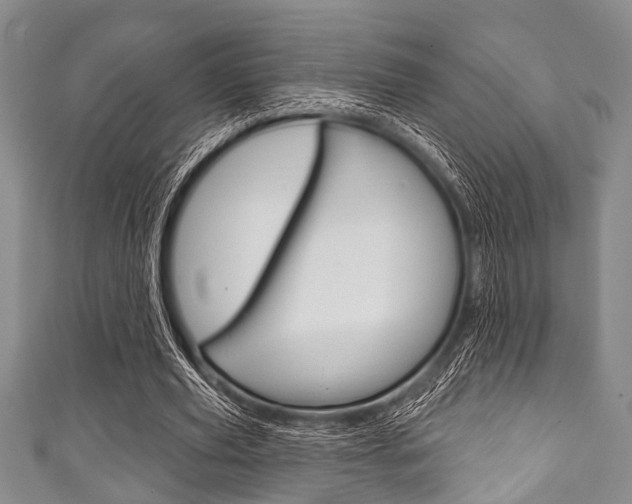 X0000111790629200907230950