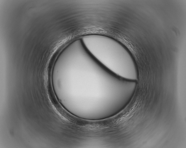 X0000111790630200907230950