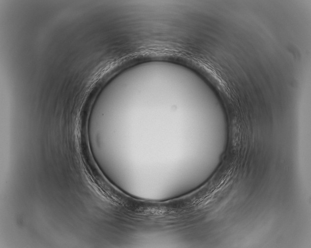 X0000111790631200907230950